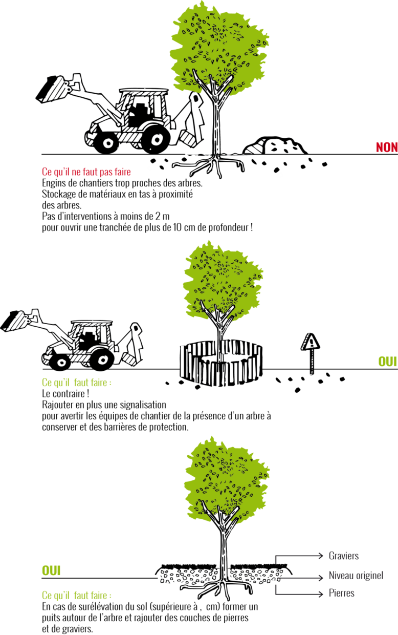Protection des arbres en chantier - Les arbres de la Métropole Grenobloise