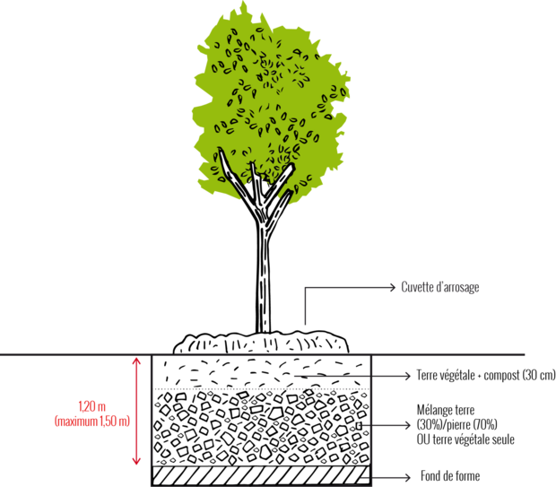 FAQs - Les arbres de la Métropole Grenobloise